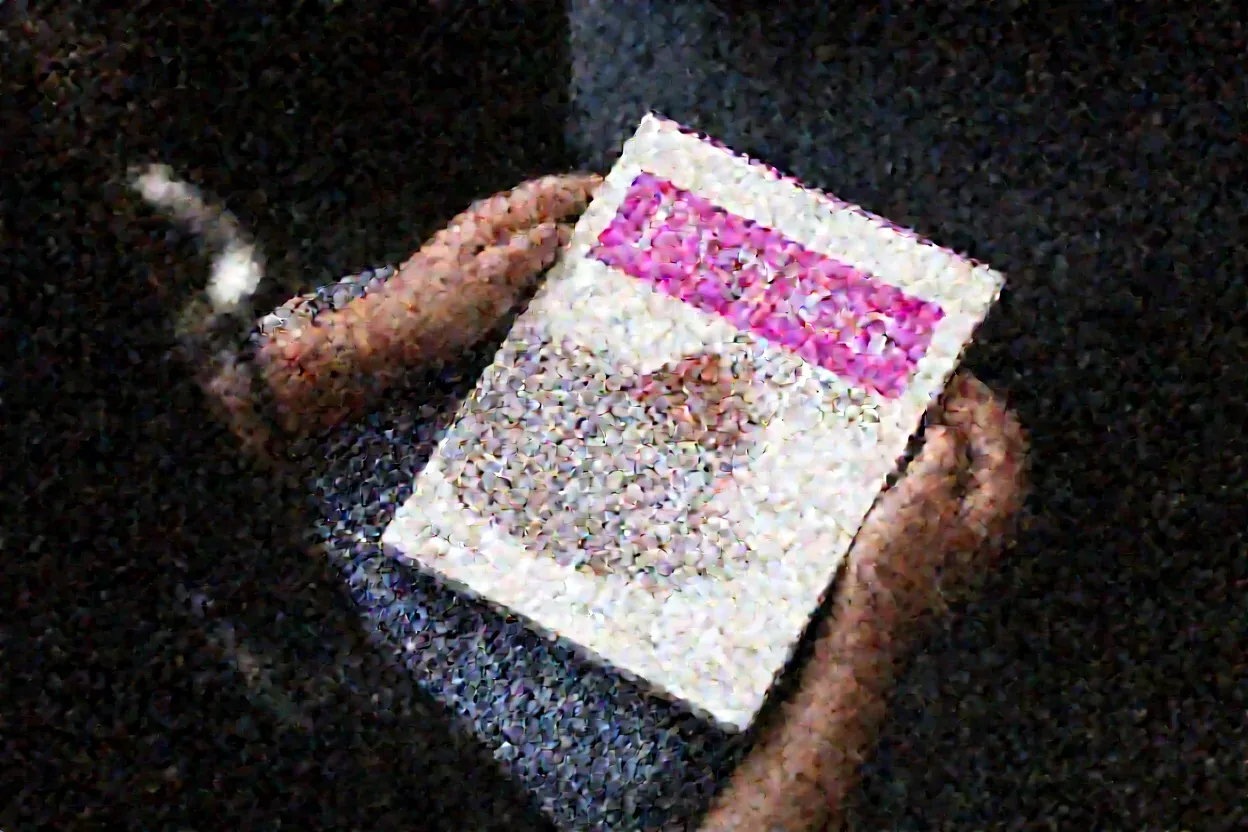 P40 NF4 output — 4-bit quantization introduces heavy noise that compounds over 40 denoising steps