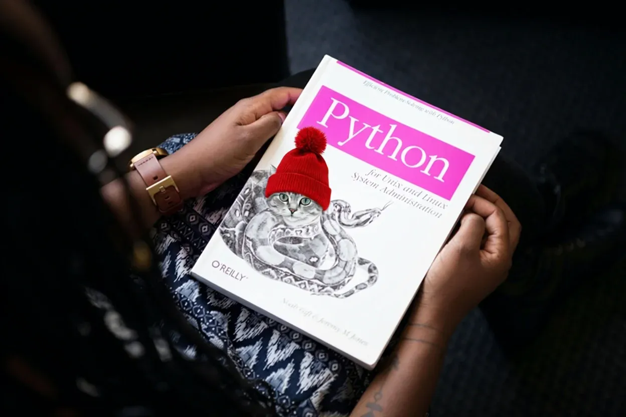 Strix Halo BF16 output — visually identical to the P40 INT8 result