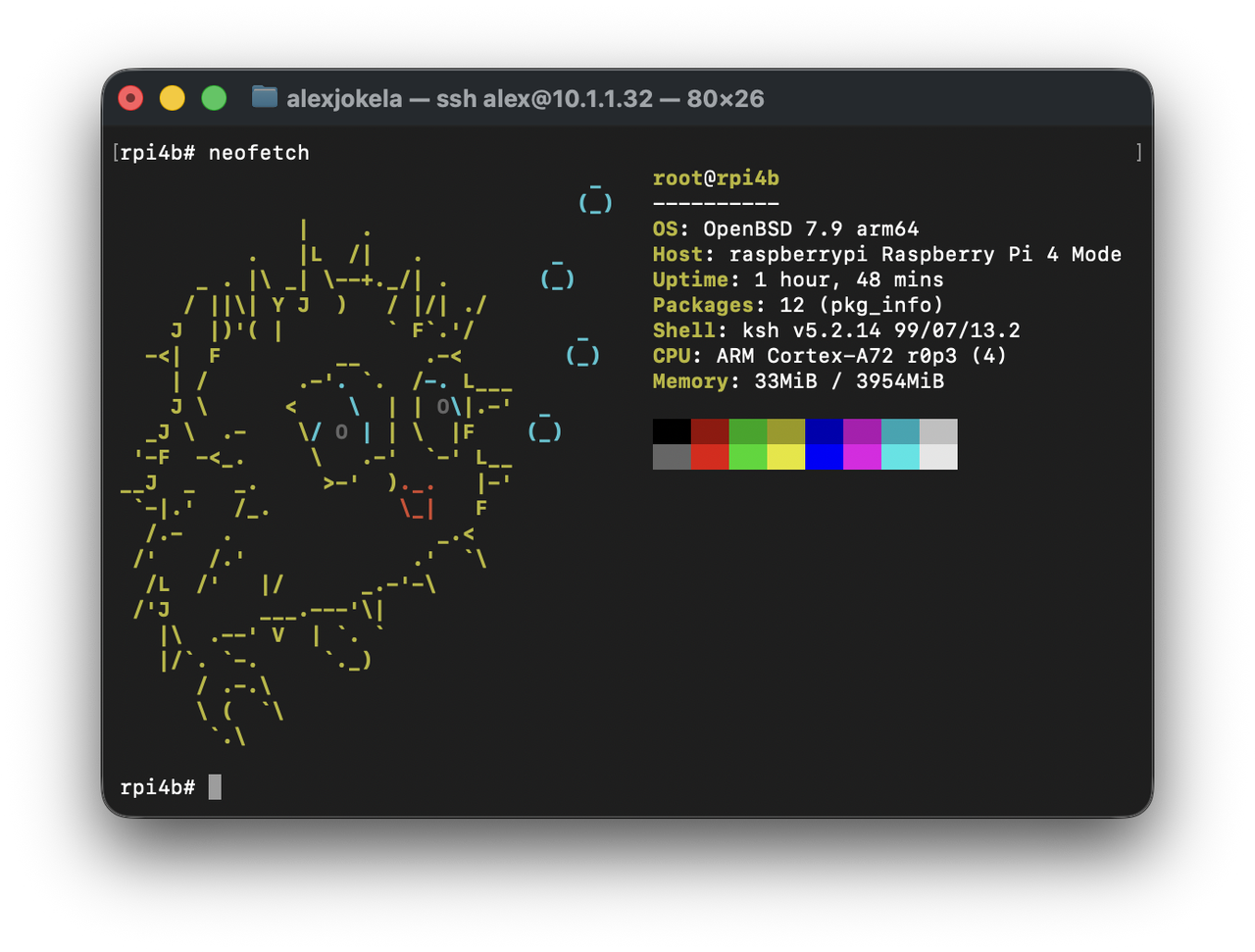 SSH terminal connected to rpi4b showing neofetch: OpenBSD 7.9 arm64, four ARM Cortex-A72 cores, and 3954 MiB of memory.